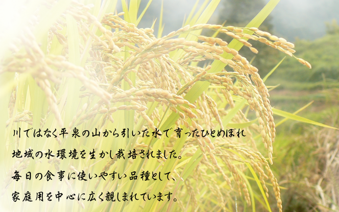 【令和8年産 先行予約】【11月以降順次発送】平泉町産 ひとめぼれ 玄米5kg / こめ コメ 米 お米 おこめ 白米 ご飯 ごはん ライス 山水【aoki015】