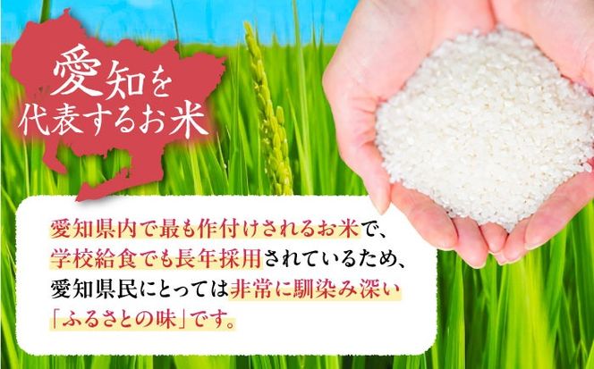 �y���m�������s�z�_2026�N1���������^�������̂����� ���� 10kg / �ˑq�g���N�^�[[AECS002-01]