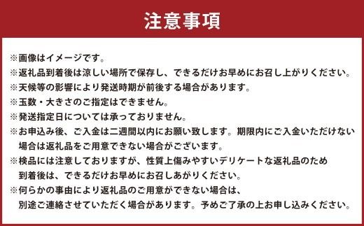 【 先行受付 】 上天草市産 あまくさ晩柑 約9kg （ サイズミックス ） 晩柑 ばんかん 果物 くだもの フルーツ 果実 果汁 果肉 ジューシーオレンジ 甘さ 酸味 柑橘 柑橘系 国産 熊本県産 【 2027年3月下旬～5月上旬順次発送予定 】