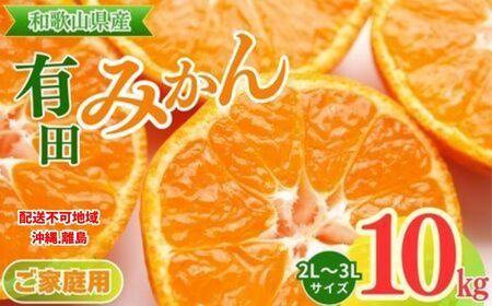 【先行予約】【ご家庭用】和歌山有田みかん約10kg(2L、3Lサイズ)〇