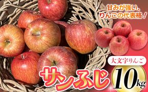 ≪12月末までの受付≫【2024年1月上旬より順次発送】大文字りんご園 サンふじ 小玉サイズ 約10kg (36～40玉) / 樹上完熟 りんご リンゴ 林檎 果物 くだもの フルーツ 甘い 旬 産地直送 予約 先行予約【dma513-sf-10】