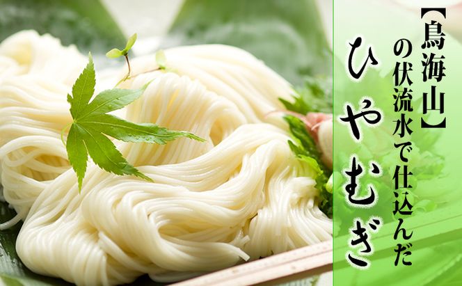 ひやむぎ5束（10人前）の定期便（11ヵ月連続） 麺類 冷麦 