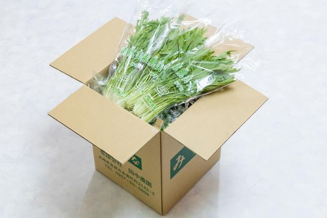 AI338 定期便 3回 水菜 30束 [ 野菜 みずな サラダ やさい 冷蔵 葉物野菜 田中農園 長崎県 島原市 ]