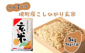 【令和7年産】米 玄米 コシヒカリ 5kg(5kg×1袋) 国産 ご飯 茨城県 境町産 人気 S278