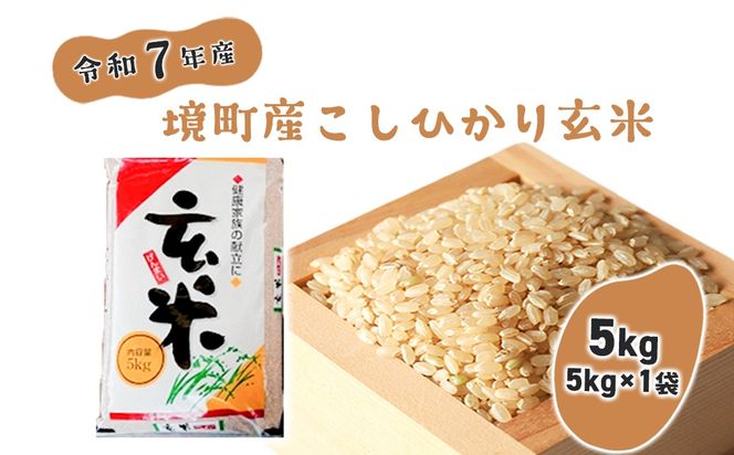 【令和7年産】米 玄米 コシヒカリ 5kg(5kg×1袋) 国産 ご飯 茨城県 境町産 人気 S278