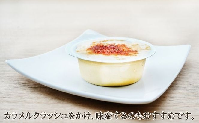 先行予約 とら豆ブリュレ 8個 菓子 プリン お菓子 ゴロゴロ 食べ応え ヘルシー 味変 おすすめ 可愛い 風景 パッケージ 