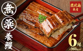 【無薬養鰻】 鹿児島産 山田のうなぎ ＜計960g以上＞ (160g以上×6尾) c2-014
