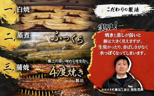 おおさきうなぎ（鹿児島県産うなぎ長蒲焼）３尾セット 464686_A921