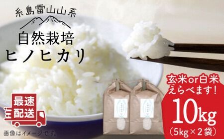 【新米予約受付中】＼令和6年産／自然栽培 ヒノヒカリ 10kg 《糸島》【大石ファーム】 [ATE002]