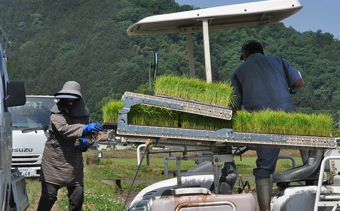 新米 令和8年度産 但馬産 コシヒカリ出石渓流米 5kg ～若手生産者限定・応援プロジェクト～/ お米 こしひかり 5キロ 兵庫県 但馬 出石 米 白米 精米 コメ こめ ご飯 ごはん ライス