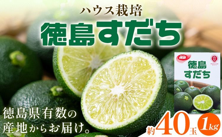 佐那河内名産 ハウス栽培 すだち 40玉 1kg ハウスすだち スダチ 一般財団法人さなごうち[6月中旬-9月上旬頃出荷]徳島県 佐那河内村 送料無料 スダチ ハウス 魚 豆腐 冷奴 焼き魚 天ぷら 刺身 徳島県産---sanagouchi_hss_1_1kg---