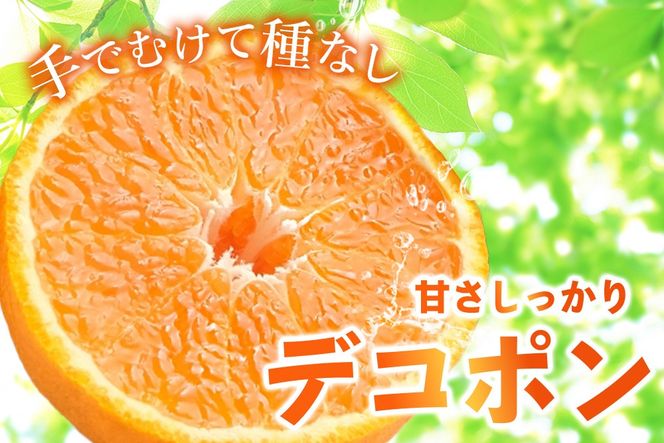 【2027年1月中旬より発送開始】不知火(デコポン) 約5kg【みかん 柑橘 清美 ポンカン フルーツ デザート】(H116137)