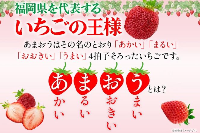 あまおう ごほうびいちご 約1kg（約250g×4パック） ＜2025年1月以降順次発送予定＞ いちご 苺 高品質 完熟 フルーツ 果物 お取り寄せ ご当地グルメ 福岡土産 取り寄せ グルメ 福岡県 食品