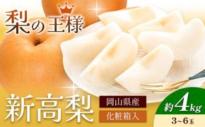 【2026年先行予約】梨 岡山県産 新高梨 約4kg 3～6玉 株式会社山博《2026年9月下旬-11月上旬頃出荷》新高 フルーツ 化粧箱入り 岡山県 笠岡市 送料無料---Y-36a---