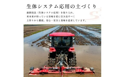 【新米受付・令和8年産米】【定期便】自然豊かな風土が育んだ新潟県村上市岩船産コシヒカリ50kg（5kg×10ヶ月）1017003N