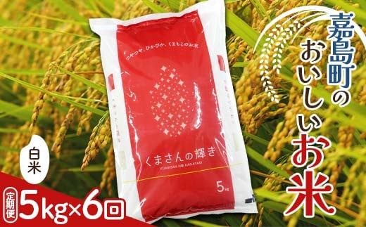 FK7-0269_【6カ月定期】【嘉島町産】くまさんの輝き 5kg 米 お米 コメ ごはん ご飯 食品 九州 熊本県 熊本 嘉島