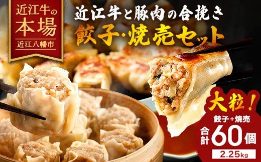近江牛と豚肉の合挽餃子と焼売セット【HH01W】（滋賀県　近江八幡市）