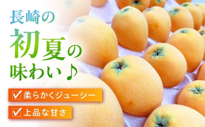 【2025年3月下旬〜発送】【数量限定】長崎ハウス びわ 約1kg（約260g × 4p） / フルーツ びわ ビワ 枇杷 / 南島原市 / O' Berry![SGA002]