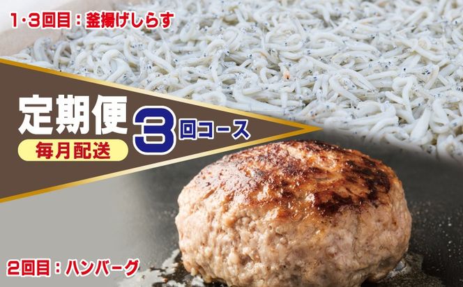 099Z498 店主セレクト ハンバーグ／しらす 食べ比べ 定期便 全3回【毎月配送コース】