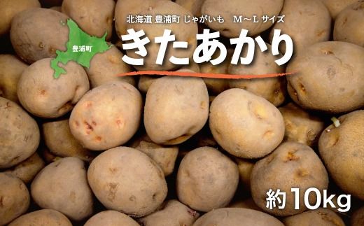 北海道 豊浦町 じゃがいも M～Lサイズ きたあかり 約10kg TYUL005