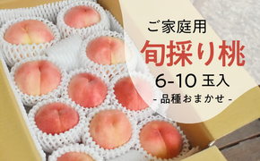 【2026年先行予約】旬採り桃 ご家庭用 6-10玉 (岡山県産) もも 真庭市 【KF-A018-04】