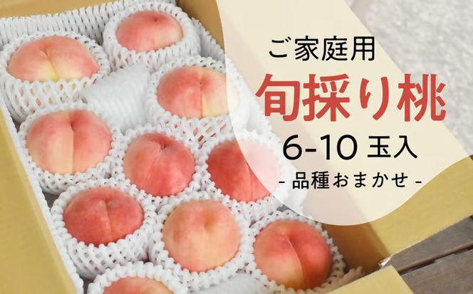 【2026年先行予約】旬採り桃 ご家庭用 6-10玉 (岡山県産) もも 真庭市 【KF-A018-04】