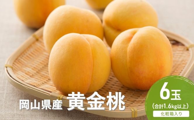 桃 2026年 先行予約 黄金桃 6玉(1.6kg以上) 化粧箱入り もも モモ 岡山県産 国産 フルーツ 果物 セット ギフト [№5735-2059]