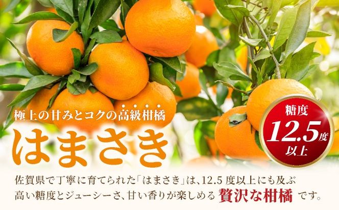 はまさき 約2.5kg 化粧箱入り