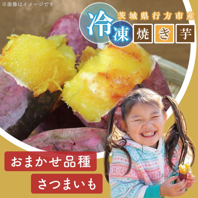 熟成シルクスイート冷凍焼き芋約2.8kg+おまかせ品種さつまいも　合計約3kg｜さつまいも サツマイモ さつま芋 焼き芋 やきいも 冷凍 冷凍焼き芋 シルクスイート 茨城県 行方市(EY-27)