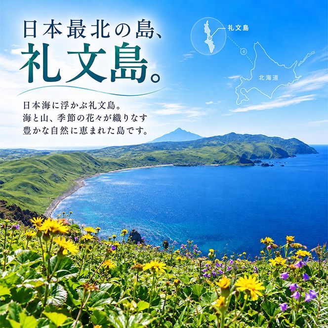 【返礼品なし】北海道 礼文町 ふるさと応援寄附金 100,000円コース ［北海道礼文町］【 寄附のみ 応援 支援 礼文島 地域貢献 自然保護 地方創生 まちづくり ふるさと納税 】