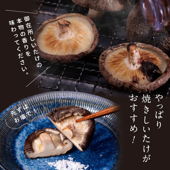 【CF-R7hbk】t057kyf-tka-kks　土佐味堪能香美市コラボ4ヶ月定期便 かつおのタタキ×1.5kg 御在所しいたけ 牛バラスライス×450g マグロの漬け丼の素 80g×5Pセット 鰹 カツオ 刺身 訳あり 椎茸 牛肉 鮪 まぐろ