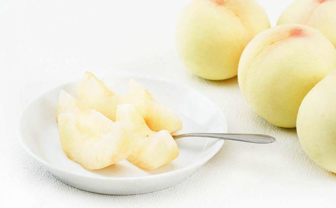 桃 2026年 先行予約 岡山 白桃 5玉（1玉310g以上）等級：ロイヤル指定／糖度：12度以上 木箱入り もも モモ 岡山県産 国産 フルーツ 果物 ギフト 