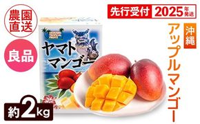 【化粧箱入】【先行受付・2025年発送】ヤマト農園 アップルマンゴー約2kg（良品）- 先行予約 沖縄県産 産地直送 南国フルーツ 旬の味覚 季節の果物 贈り物 ギフト 沖縄県 八重瀬町