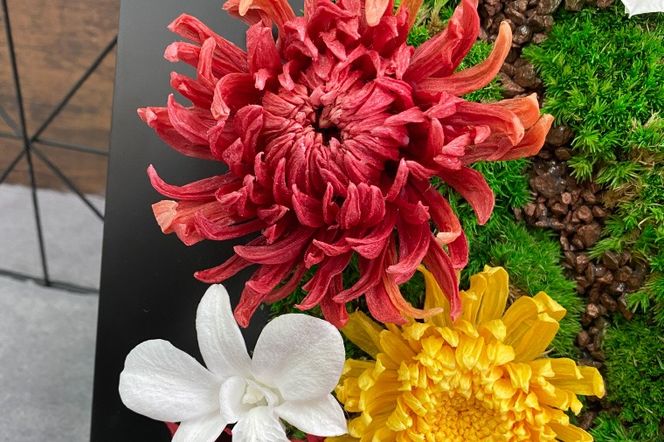 プリザーブドフラワー　紅芭（いろは）【埼玉県 春日部市 和モダン インテリア ギフト 贈答 飾り 手作り お祝い 長持ち 上品】（AJ267）