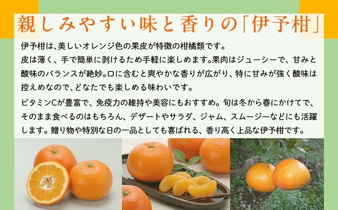 【先行予約】【数量限定】JAにしうわ みつる共選 伊予柑 約10kg ※離島への配送不可（2026年1月上旬より順次発送予定） IKTBC007