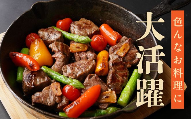 mrz0038 【特別寄附金額】やわらか牛ヒレ肉 1kg 小分け 500g×2P【氷温熟成×特製ダレ 切り落とし 訳あり サイズ不揃い サイコロステーキ 一口サイズにカット】