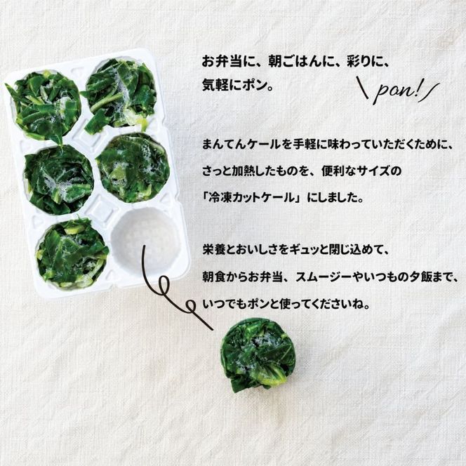 まんてんケール 　冷凍カットケールセット 野菜 冷凍野菜 食べやすい スムージー ソテー 炒め物 食材 食卓
