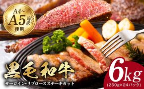 G3652 A5/A4ランク 黒毛和牛 サーロイン/リブロース ステーキカット 合計6kg（各250g×12P）【極味付け肉】