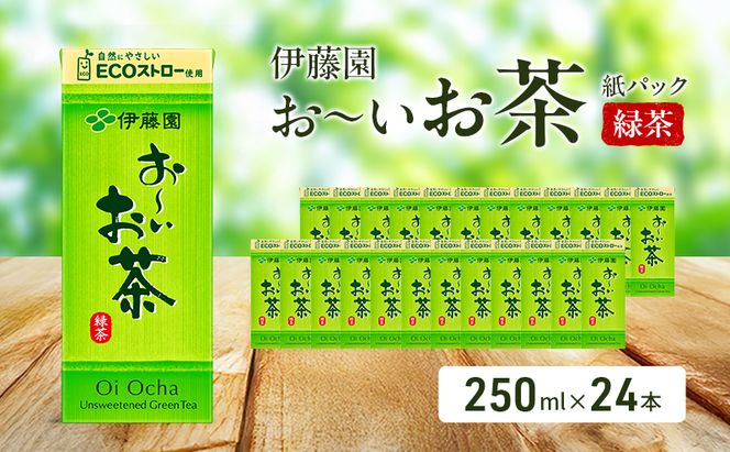 お～いお茶 緑茶 紙パック 250ml×24本 お茶 飲み物 飲料 国産茶葉 伊藤園 静岡県 袋井市