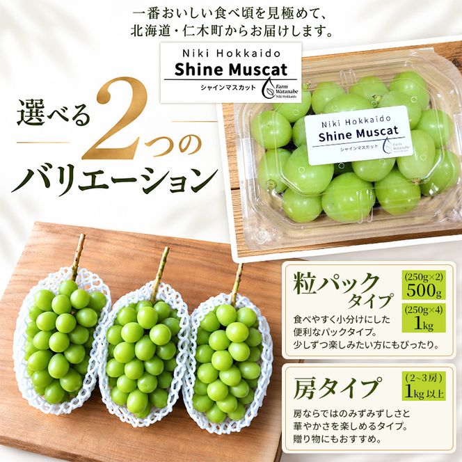 【2026年産】北海道 仁木町産 シャインマスカット 粒 500g (250g×2) 化学肥料・除草剤不使用 ぶどう フルーツ 果物 くだもの [Farm Watanabe]