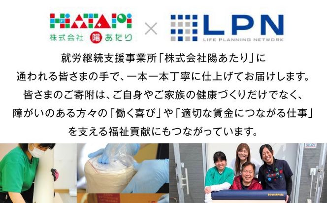 100F080 【LPN社製】ストレッチポールEX ピンクベージュ【正規品 セルフケア ストレッチ エクササイズ 腰痛 肩こり 体幹 コアトレ】