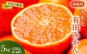 家庭用 大きな有田みかん5kg+250g（傷み補償分）【わけあり・訳あり】【光センサー選果】
