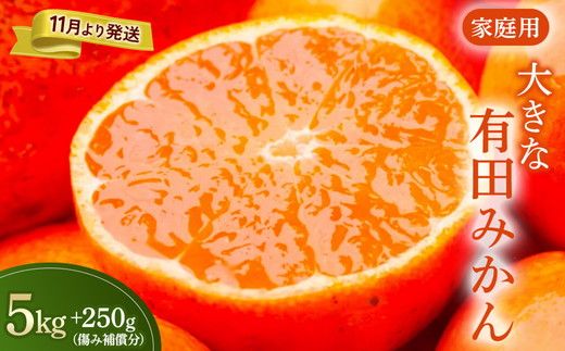 家庭用 大きな有田みかん5kg+250g（傷み補償分）【わけあり・訳あり】【光センサー選果】