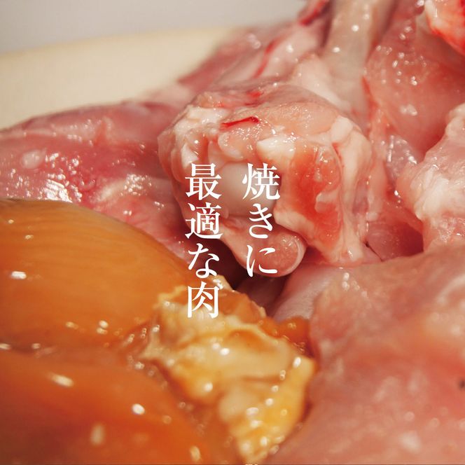 京都・ささ鳥　京美白どりBBQとりにくセット 