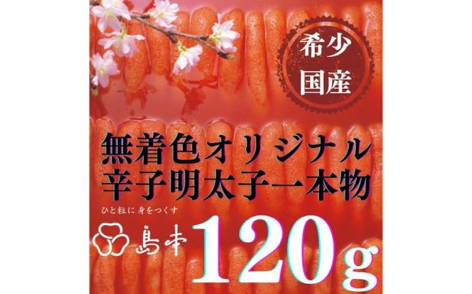 yz㒬zyhqq̓{z󏭍YEFIWihqq{120 z㒬yГ{Hiz߂񂽂 炱 q Y F 1{[ABCR028]