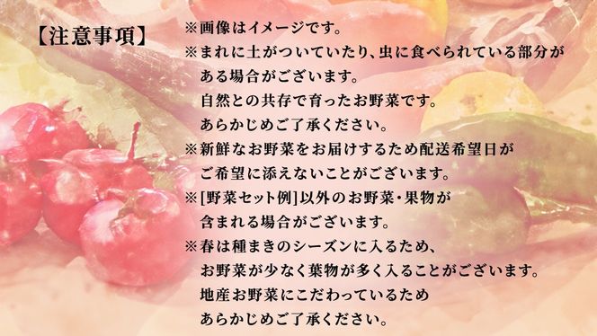  ＼ 選べるお届け月と内容量／  農家直送 旬のお野菜 おまかせセット  野菜セット 野菜 旬 詰め合わせ やさい おまかせ 自然 春野菜 夏野菜 セット 季節 新鮮 旬 農家直送