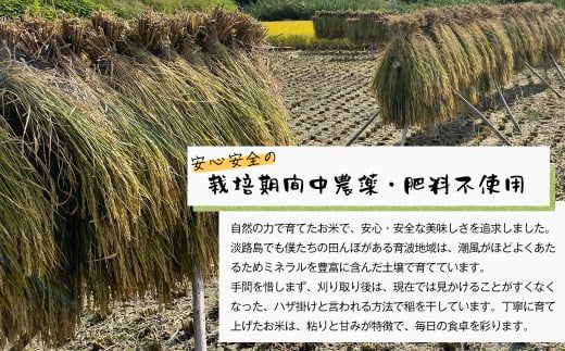 自然栽培　コシヒカリ（玄米）　5kg 《無選別品のため訳アリ》