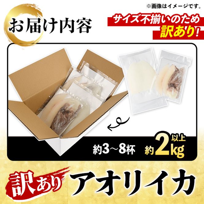 訳あり！アオリイカ(約2kg以上・3～8杯) 鹿児島県 阿久根市 いか イカ 烏賊 魚介 海鮮 海産物 冷凍 お刺身 お造り 真空パック 新鮮 おつまみ 晩酌 酒の肴 【さるがく水産】akn028-55