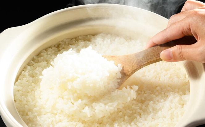 【先行予約】【令和8年産】茨城県産コシヒカリ 5kg ※2026年10月～発送 | 米 お米 おこめ コメ 白米 精米 ご飯 ごはん コシヒカリ こしひかり 茨城県 守谷市