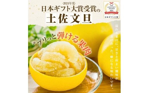 先行予約 園主こだわりの土佐文旦 10キロ 大小混合（４L～Mサイズ） 2027年1月下旬より順次発送 ぶんたん ブンタン 柑橘 みかん 【やの一果彩】 [BQAC015]
